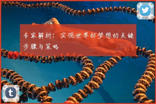 专家解析:实现世界杯梦想的关键步骤与策略