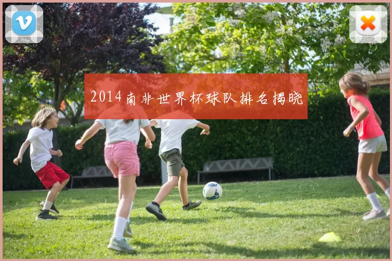 2014南非世界杯球队排名揭晓