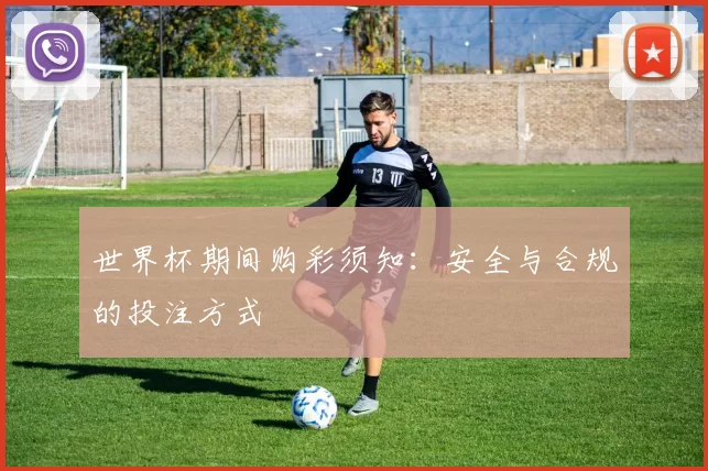 世界杯期间购彩须知:安全与合规的投注方式