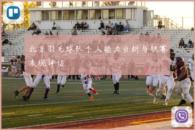 北京羽毛球队个人能力分析与联赛表现评估