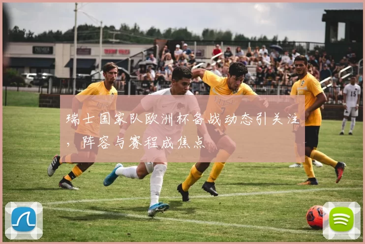 瑞士国家队欧洲杯备战动态引关注，阵容与赛程成焦点
