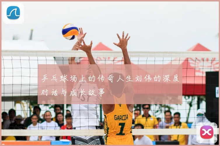 乒乓球场上的传奇人生刘伟的深度对话与成长故事