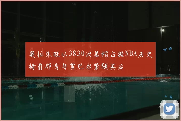 奥拉朱旺以3830次盖帽占据NBA历史榜首邓肯与贾巴尔紧随其后