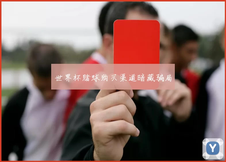 世界杯赌球购买渠道暗藏骗局