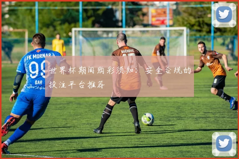 世界杯期间购彩须知:安全合规的投注平台推荐