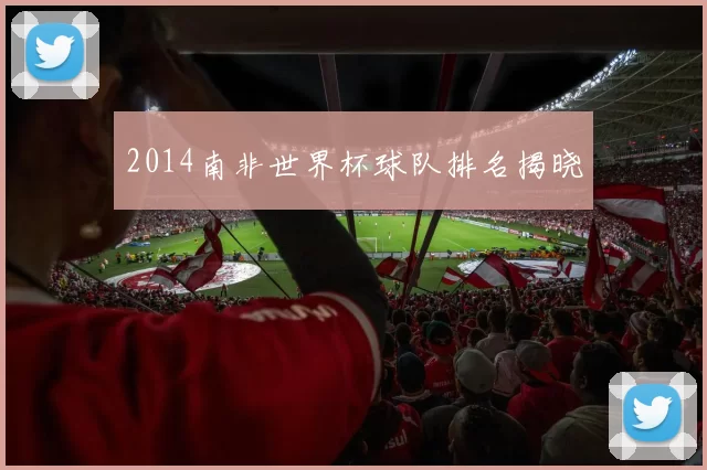 2014南非世界杯球队排名揭晓