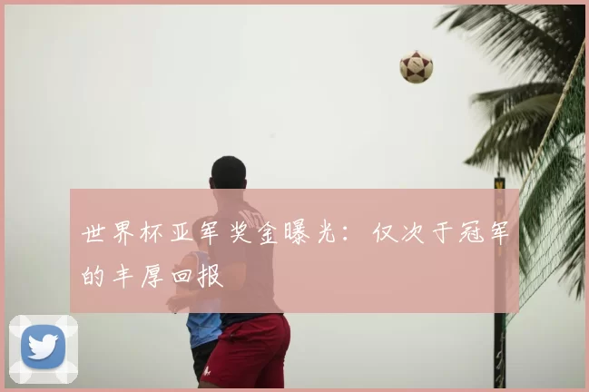 世界杯亚军奖金曝光:仅次于冠军的丰厚回报