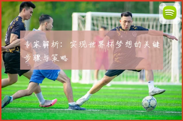 专家解析：实现世界杯梦想的关键步骤与策略