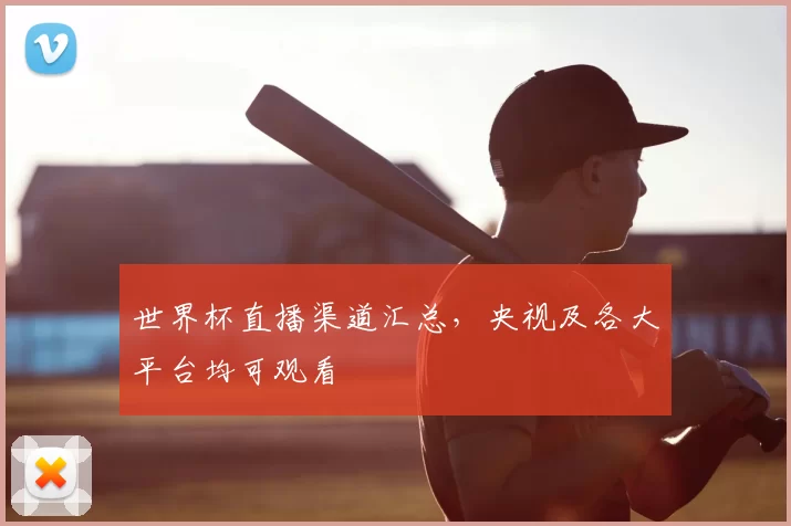 世界杯直播渠道汇总，央视及各大平台均可观看