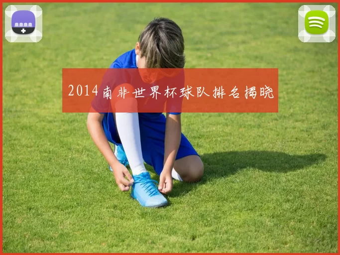 2014南非世界杯球队排名揭晓