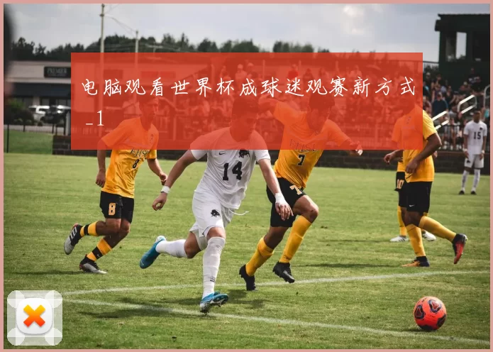 电脑观看世界杯成球迷观赛新方式 _1