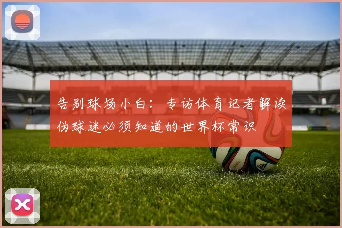 告别球场小白：专访体育记者解读伪球迷必须知道的世界杯常识